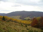 Drewnex Bieszczady Tour 2006