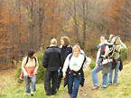 Drewnex Bieszczady Tour 2006