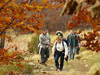 Drewnex Bieszczady Tour 2006