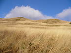 Drewnex Bieszczady Tour 2006